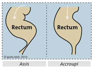 Schéma rectum - lutter contre la constipation, faciliter défécation
